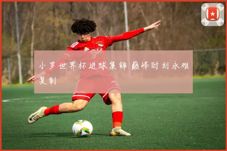 小罗世界杯进球集锦 巅峰时刻永难复制