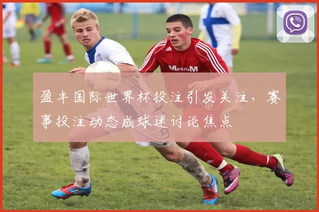 盈丰国际世界杯投注引发关注，赛事投注动态成球迷讨论焦点