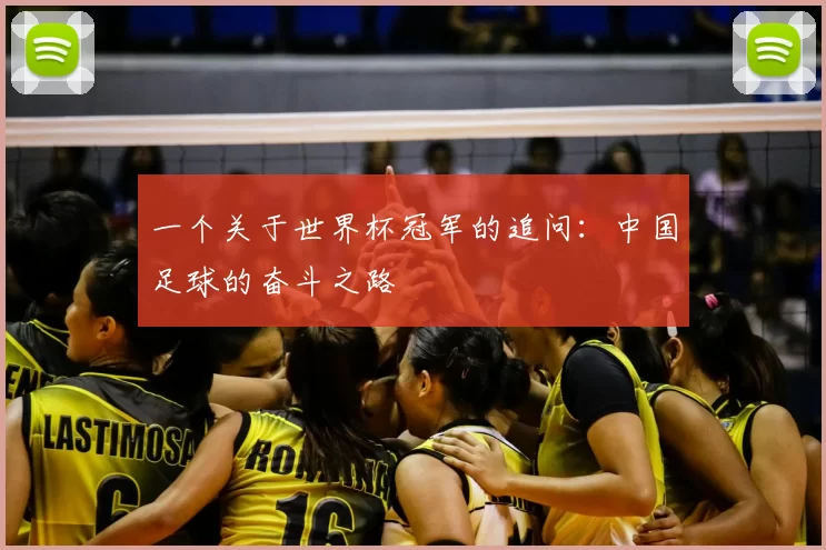 一个关于世界杯冠军的追问:中国足球的奋斗之路
