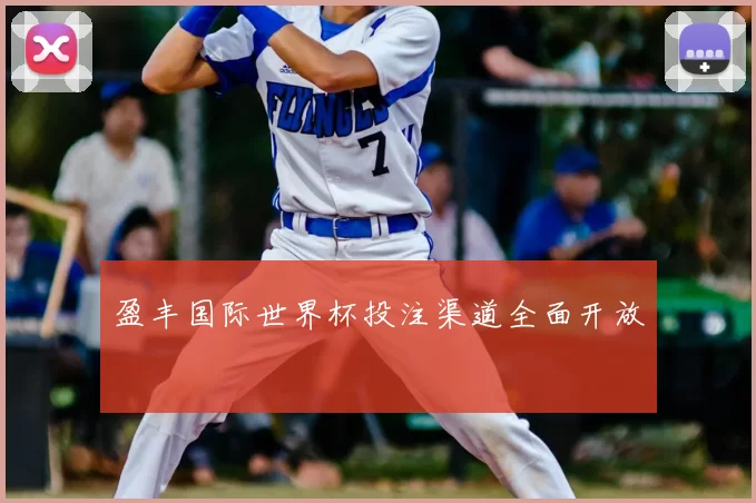 盈丰国际世界杯投注渠道全面开放