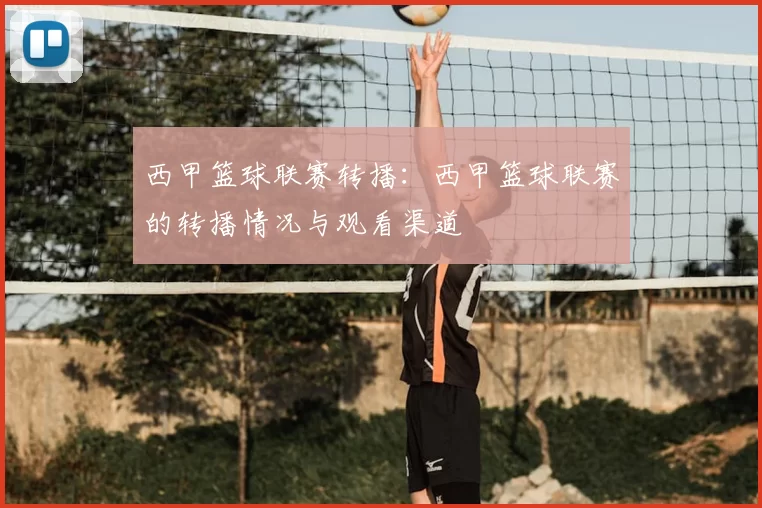西甲篮球联赛转播:西甲篮球联赛的转播情况与观看渠道