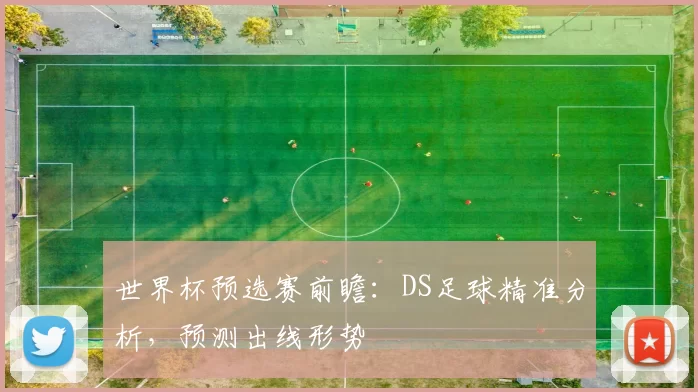 世界杯预选赛前瞻：DS足球精准分析，预测出线形势