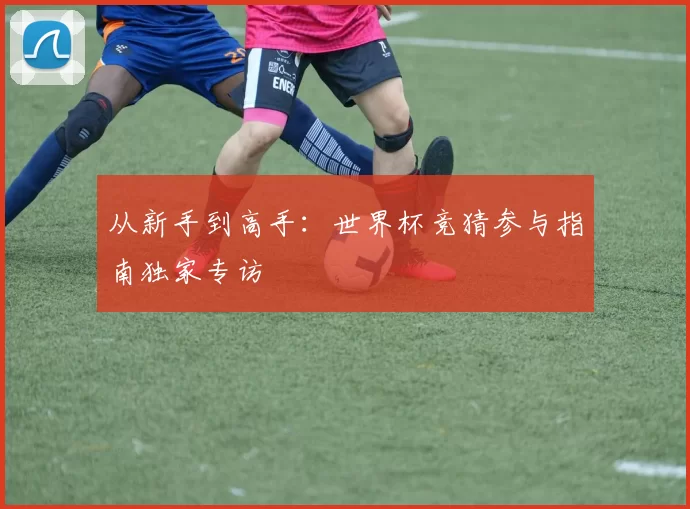 从新手到高手:世界杯竞猜参与指南独家专访