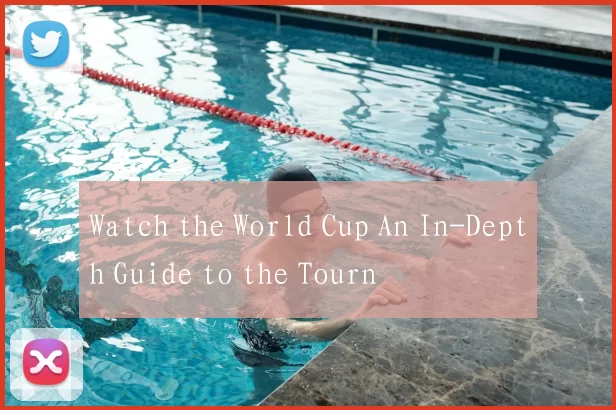 Watch the World Cup An In-Depth Guide to the Tourn