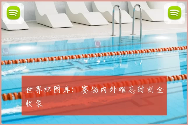 世界杯图库：赛场内外难忘时刻全收录